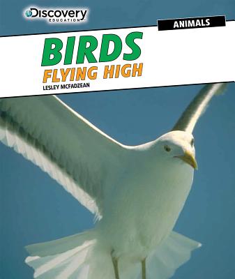 Birds: Flying High - McFadzean, Lesley