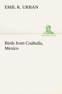 Birds from Coahuila, Mexico