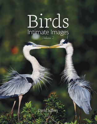 Birds: Intimate Images Volume 2 - Jeffrey, David