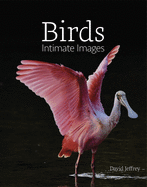 Birds: Intimate Images