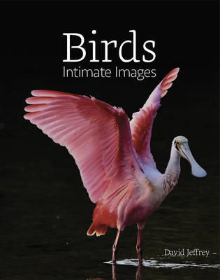 Birds: Intimate Images - Jeffrey, David