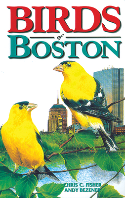 Birds of Boston - Fisher, Chris, and Bezener, Andy