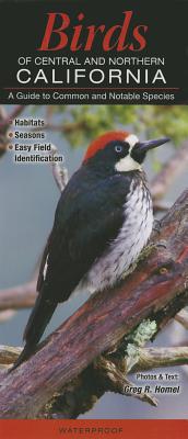 Birds of Central and Northern California: A Guide to Common and Notable Species - Homel, Greg R