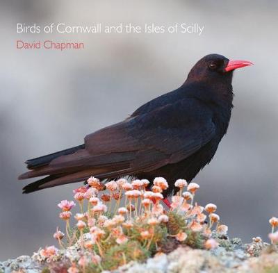 Birds of Cornwall and the Isles of Scilly - Chapman, David, Dr.