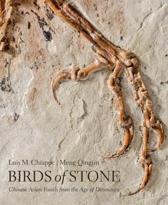 Birds of Stone: Chinese Avian Fossils from the Age of Dinosaurs - Chiappe, Luis M, and Qingjin, Meng