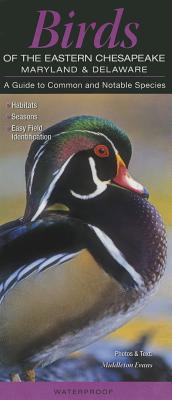 Birds of the Eastern Chesapeake, Maryland & Deleware: A Guide to Common and Notable Species - Evans, Middleton