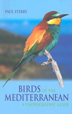 Birds of the Mediterranean - Sterry, Paul