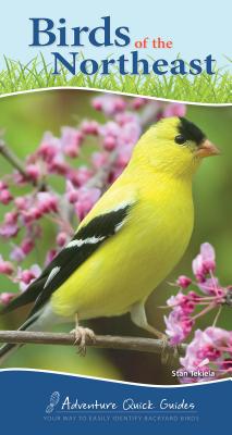 Birds of the Northeast: Your Way to Easily Identify Backyard Birds - Tekiela, Stan