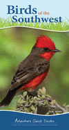 Birds of the Southwest: Your Way to Easily Identify Backyard Birds