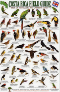 Birds of Tortuguero and the Caribbean Coast - Dean, Robert