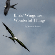 Birds' Wings are Wonderful Things