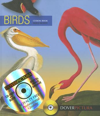 Birds - Weller, Alan