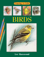 Birds - Hammond, Lee