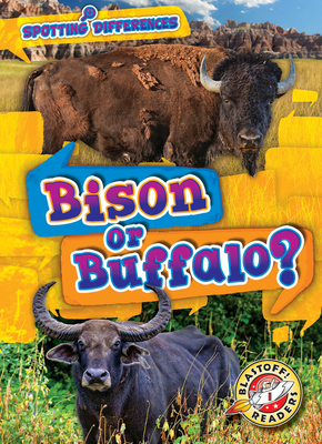 Bison or Buffalo? - Schuh, Mari C