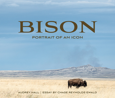 Bison: Portrait of an Icon - Ewald, Chase Reynolds, and Hall, Audrey