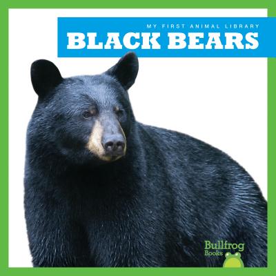 Black Bears - Gleisner, Jenna Lee