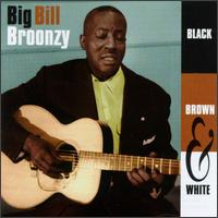 Black, Brown and White - Big Bill Broonzy