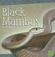 Black Mambas