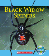 Black Widow Spiders