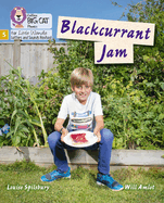 Blackcurrant Jam: Phase 5 Set 1
