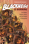 Blackness Is Burning: Civil Rights, Popular Culture, and the Problem of Recognition