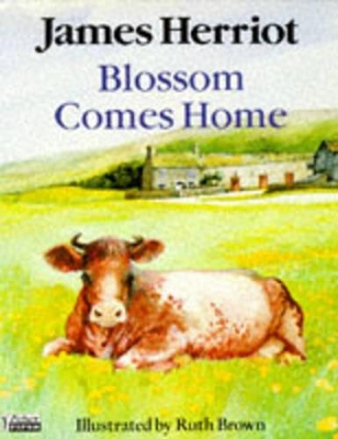 Blossom Comes Home - Herriot, James