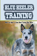 Blue Heeler Training: What You Need To Know About Training Blue Heeler: Blue Heeler Training Commands