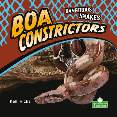 Boa Constrictors - Hicks, Kelli