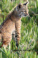Bobcat Kitten: Sketch Book