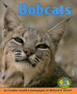 Bobcats