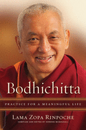 Bodhichitta: Practice for a Meaningful Life