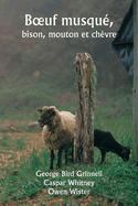 Boeuf musqu, bison, mouton et chvre