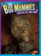 Bog Mummies: Where Did They Come From?