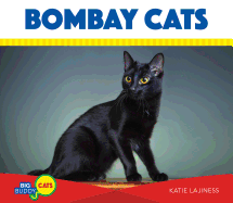 Bombay Cats