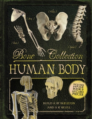 Bone Collection: Human Body - Colson, Rob, and Kirk, Steve (Illustrator), and Gray, Elizabeth (Illustrator)
