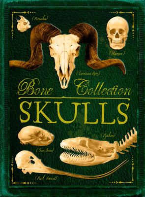 Bone Collection: Skulls - 