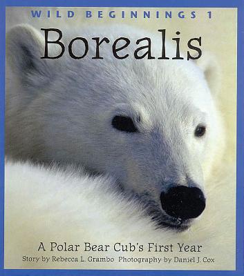 Borealis: A Polar Bear Cub's First Year - Grambo, Rebecca L