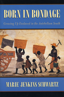 Born in Bondage: Growing Up Enslaved in the Antebellum South - Schwartz, Marie Jenkins