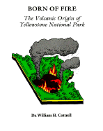 Born of Fire: The Volcanic Origin of Yellowstone National Park