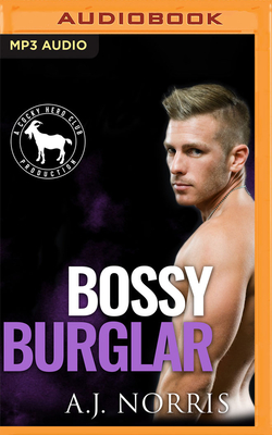 Bossy Burglar: A Hero Club Novel - Norris, A J, and Club, Hero, and Greenfield, Lance (Read by)