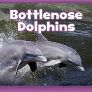 Bottlenose Dolphins