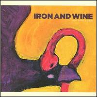 Boy with a Coin - Iron & Wine