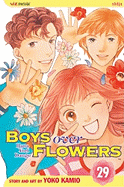 Boys Over Flowers, Volume 29: Hana Yori Dango