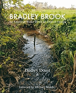 Bradley Brook: An American Walks Down an English Stream
