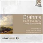 Brahms: Horn Trio; Violin Sonata; Fantasien