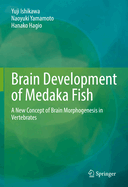 Brain Development of Medaka Fish: A New Concept of Brain Morphogenesis in Vertebrates