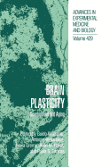Brain Plasticity: Development and Aging