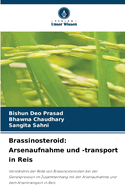 Brassinosteroid: Arsenaufnahme und -transport in Reis