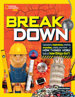 Break Down: Explosions, Implosions, Crashes, Crunches, Cracks, and More ... a How Things Work Look at How Things Don't - Grunbaum, Mara