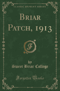 Briar Patch, 1913 (Classic Reprint)